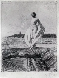Zorn: The Swan