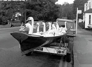 Unlikely: Swan Day at Henley-on-Thames