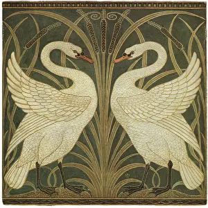 Symmetrical: Swan Design