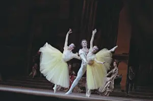 Fadeyechev: Swan Lake ballet