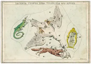 Lyra: SWAN ETC STAR MAP