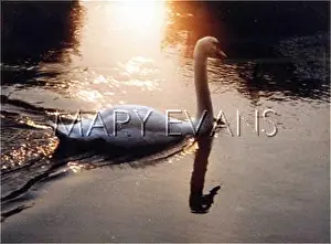 Olor: SWAN AT SUNSET