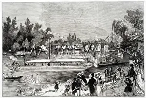 Upping: SWAN UPPING - 2