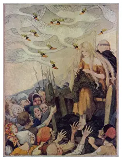 Snatching: THE SIX SWANS