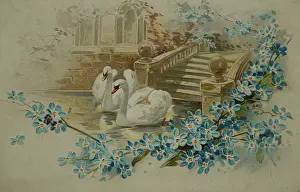 Embossing: Two swans