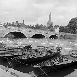 Widened: Swans at Bedford Bridge