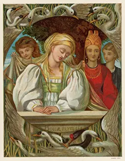 Dumb: THE SIX SWANS BOYLE