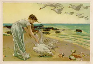 Havers: The Six Swans fairy tale