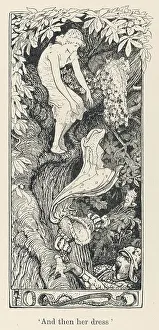 Insist: THE SIX SWANS FORD