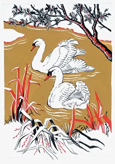 Margery: Two Swans on a lake