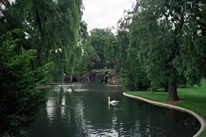 Petrov: Swan's lake at foot of Eiffel Tower in Paris, 1993