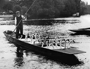 Relocated: Swans in a punt