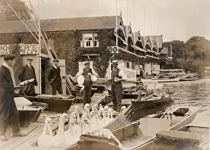 Regatta: Swans in a punt at Henley