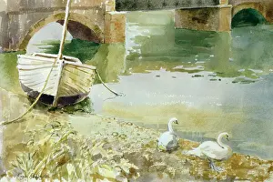 Remington: Swans by a Quiet River