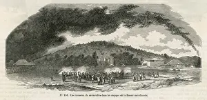 Locusts: Swarm of Locusts