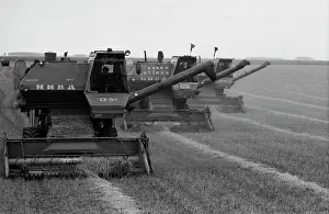 Omsk: Swath threshing at Stepnoy state farm