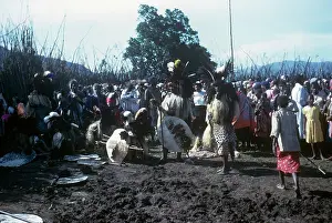 Swaziland: Swaziland