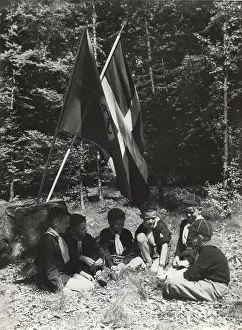 Swede: Swedish Cub Scouts and Flags