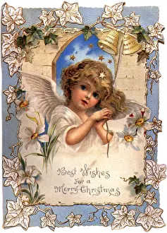 Ringing: Sweet Angel