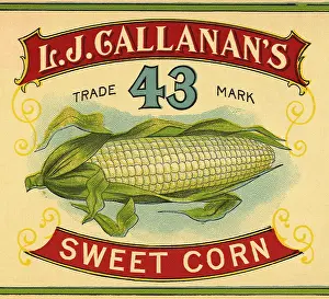Vegtable: Sweet Corn Label