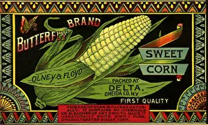 Vegtable: Sweet Corn Veg Label