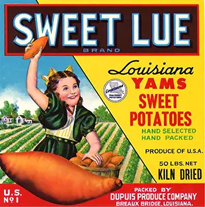 Vegtable: Sweet Lue Yams