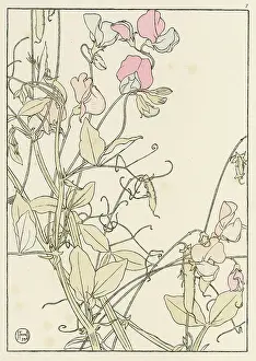 Pochoir: Sweet Pea