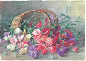 Pressland: Sweet peas'. Flowers