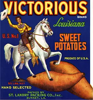 Vegtable: Sweet Potato Label