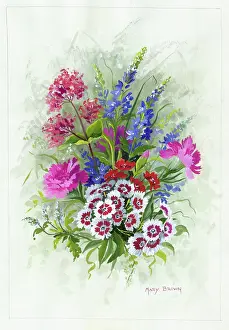 Valerian: Sweet William, Pinks, Red Valerian, Veronica