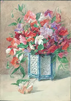 Pressland: Sweetpeas'. Flowers in vase