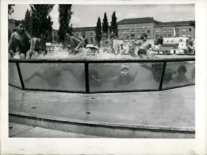 Hass: Swimming - Diving
