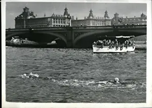 Watery: Swimming - Diving