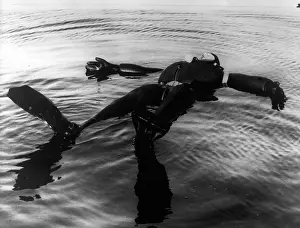 Retains: Swimming - Diving