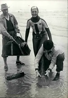 Frogman: Swimming - Diving