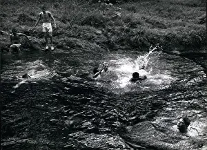 Swirling: Swimming - Diving