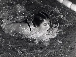 Schuler: Swimming - Diving