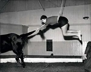Bareback: Swimming - Diving