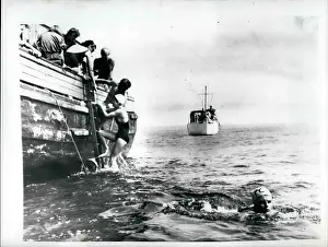 Gris: Swimming - Diving