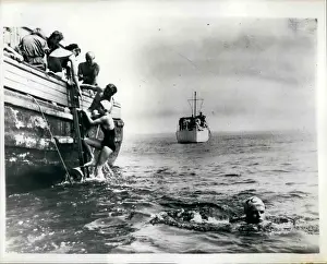 Gris: Swimming - Diving
