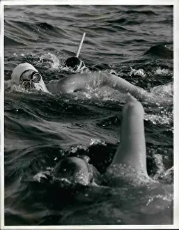 Revell: Swimming - Diving