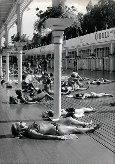 Sunbathe: Swimming - Diving