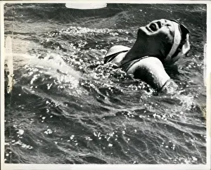 Salesman: Swimming - Diving