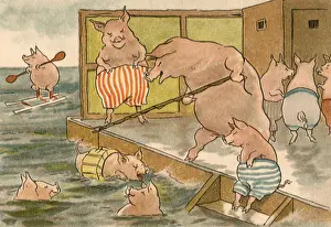 Piglets: Swimming Pigs