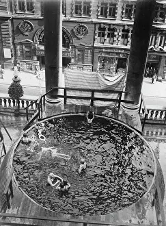 Swimming pool on the roof of Piccadilly