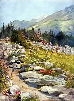 Bourg: SWISS ALPS/BOURG PIERRE