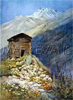 Bourg: SWISS ALPS/BOURG PIERRE