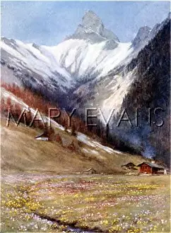 Verna: SWISS ALPS/COL FORCLAZ