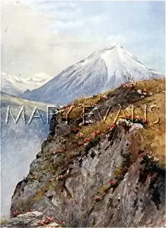 Viscosa: SWISS ALPS/GRAND COMBIN