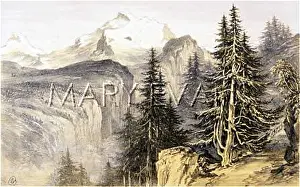 Staubbach: SWISS ALPS/JUNGFRAU 1850